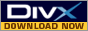 Download: The DIVX Codec Pack